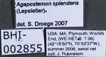 Media type: image;   Entomology 610252 Aspect: labels